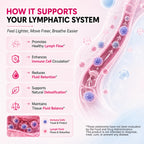 Liposomal Lymphatic Drainage Drops