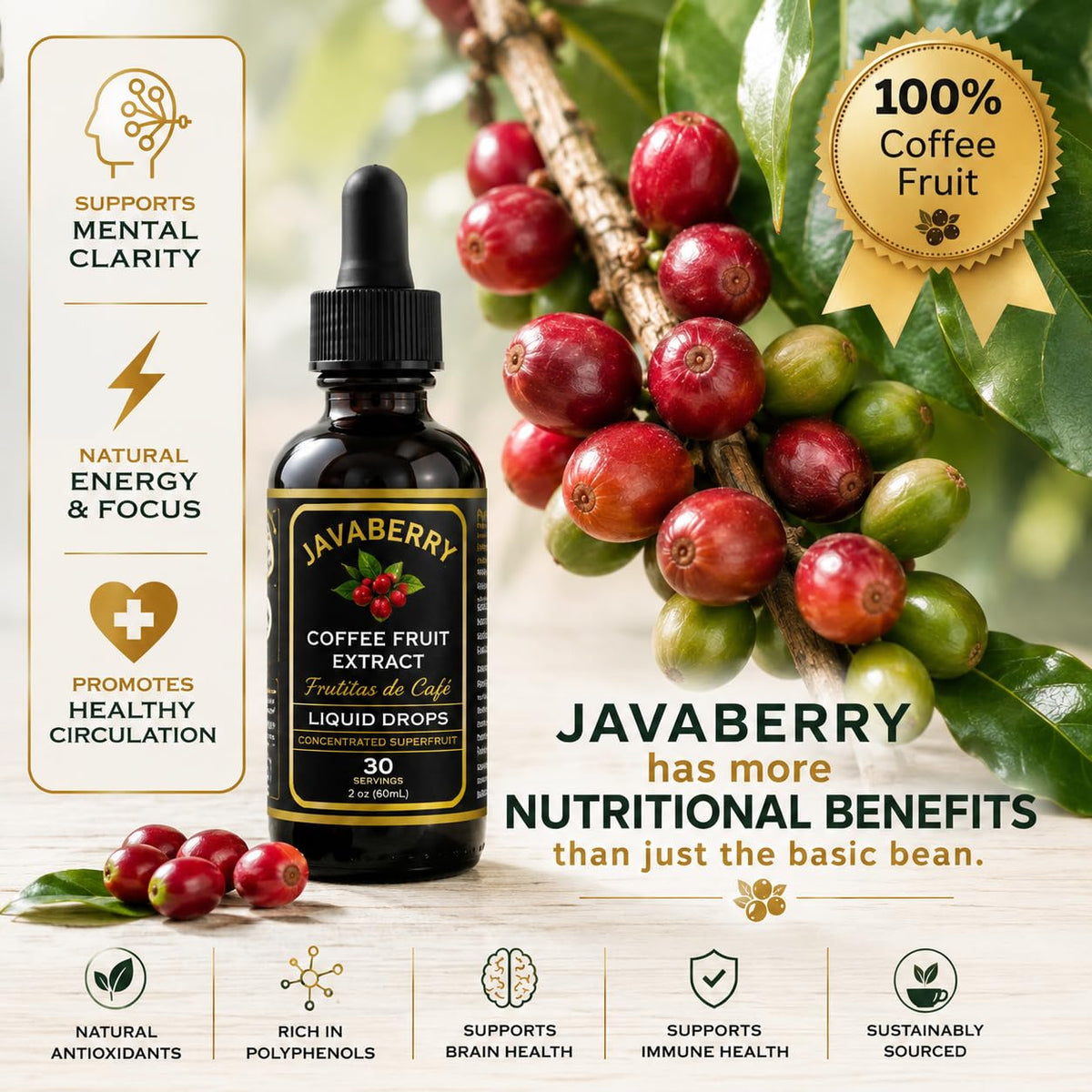 Whole Coffee Fruit Extract – Brain, Focus & Memory Support with BDNF | Low-Caffeine Coffee Cherry Superfruit Concentrate | Polyphenols & Antioxidants, Sugar-Free | 60mL Liquid