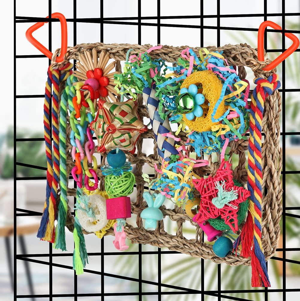 Foraging Toys for Parakeets Cockatiel Conures Lovebirds - Seagrass Wall with Various Bird Toys