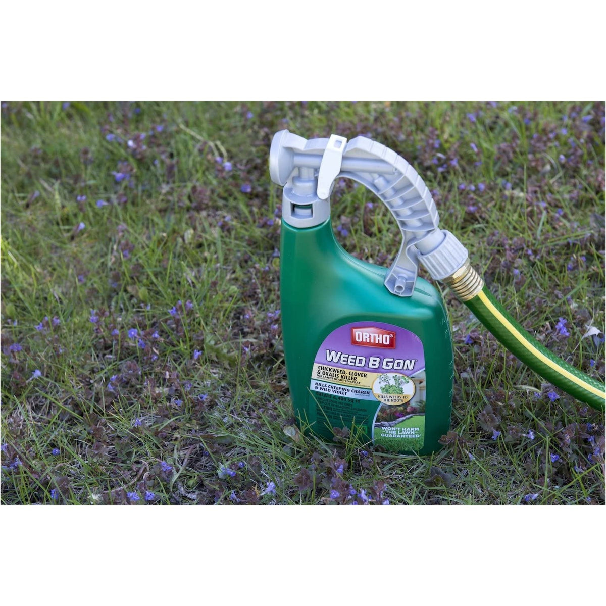 Ortho Weed B Gon Chickweed, Clover & Oxalis Killer for Lawns, 32 Oz. (Pack of 2)