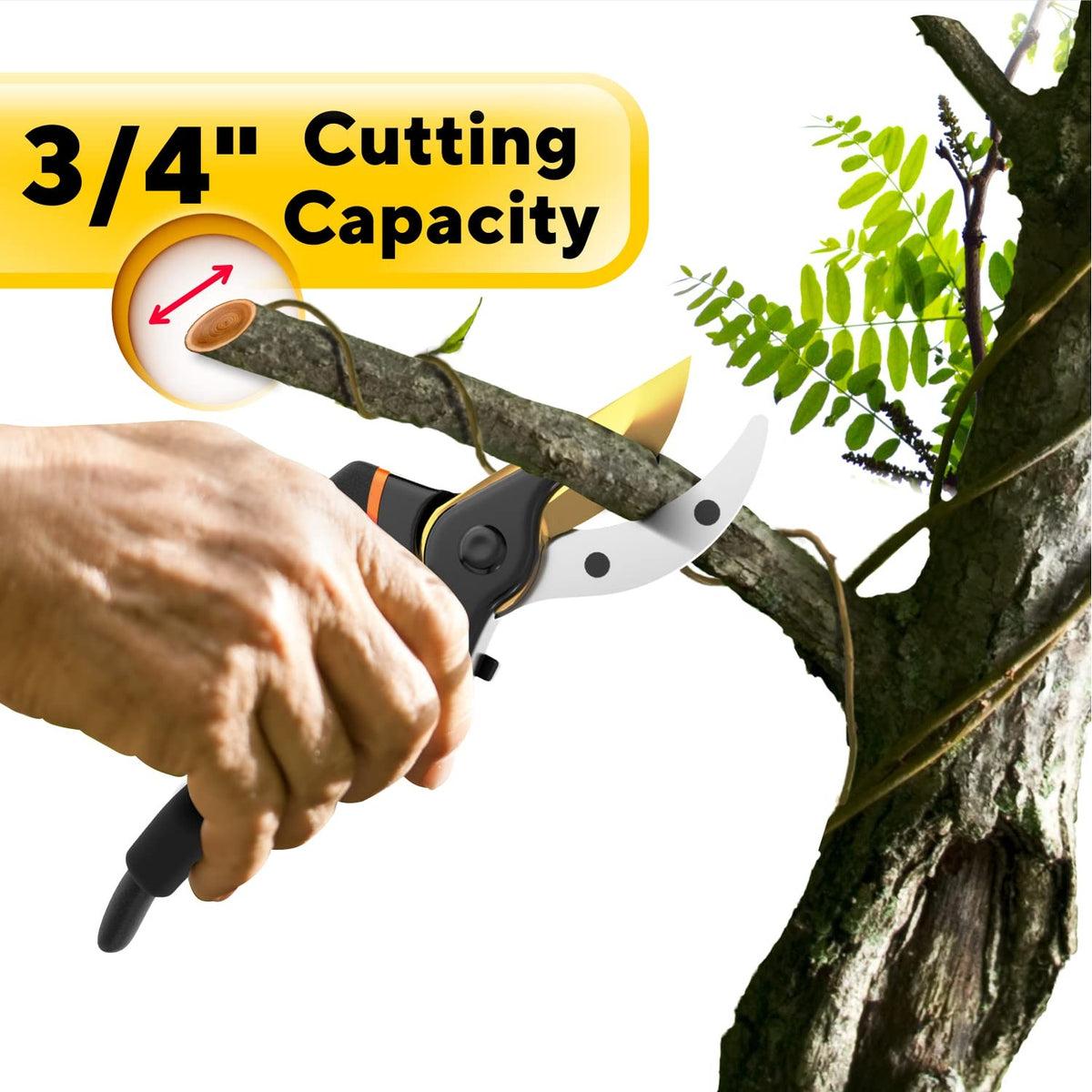 Gerossi Premium Bypass Pruning Shears for Gardening, 7" Heavy Duty Pruners