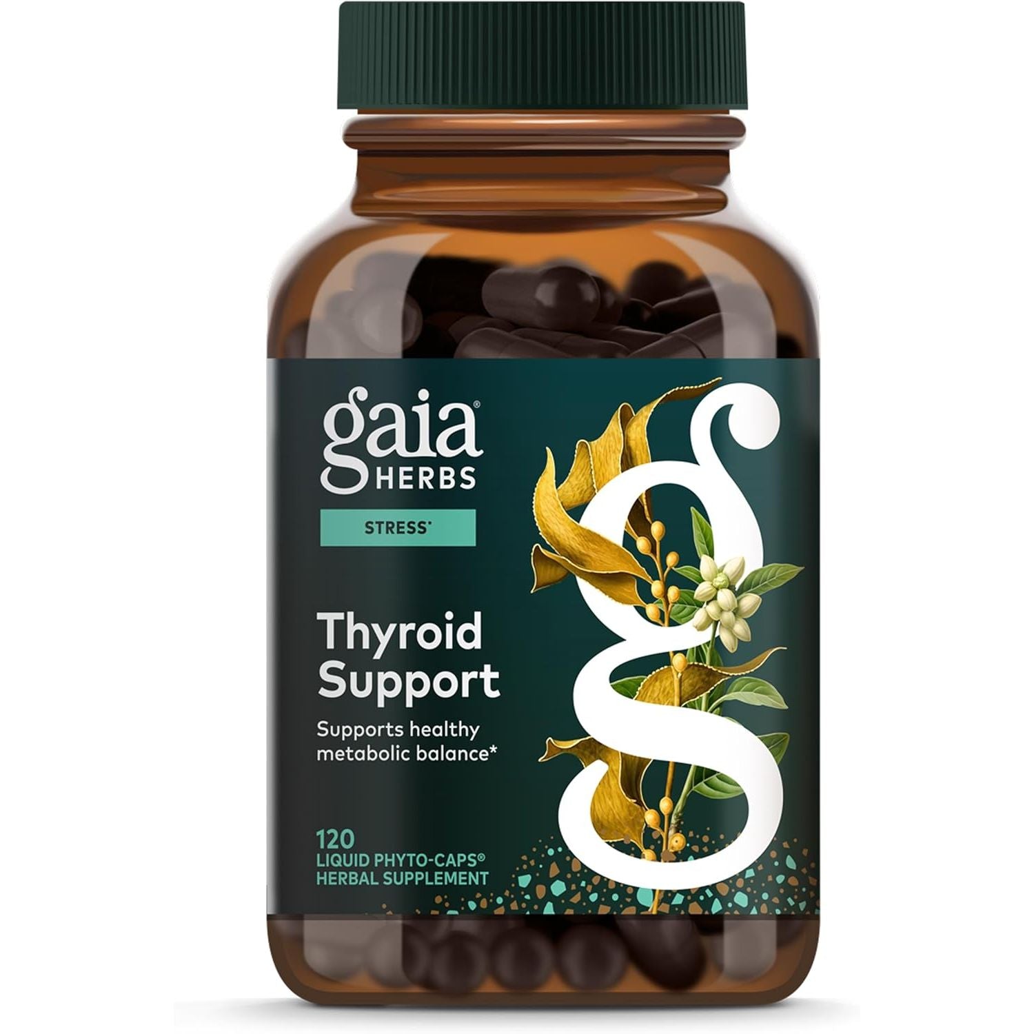 Buy now Gaia Herbs Thyroid Support - Made with Ashwagandha, Kelp, Brown Seaweed & Schisandra to Support Healthy Metabolic Balance & Overall Well-Being* - 60 Vegan Liquid Phyto-Capsules (20-Day Supply) 120 Count (Pack of 1) Thyroid Support at indiglob india