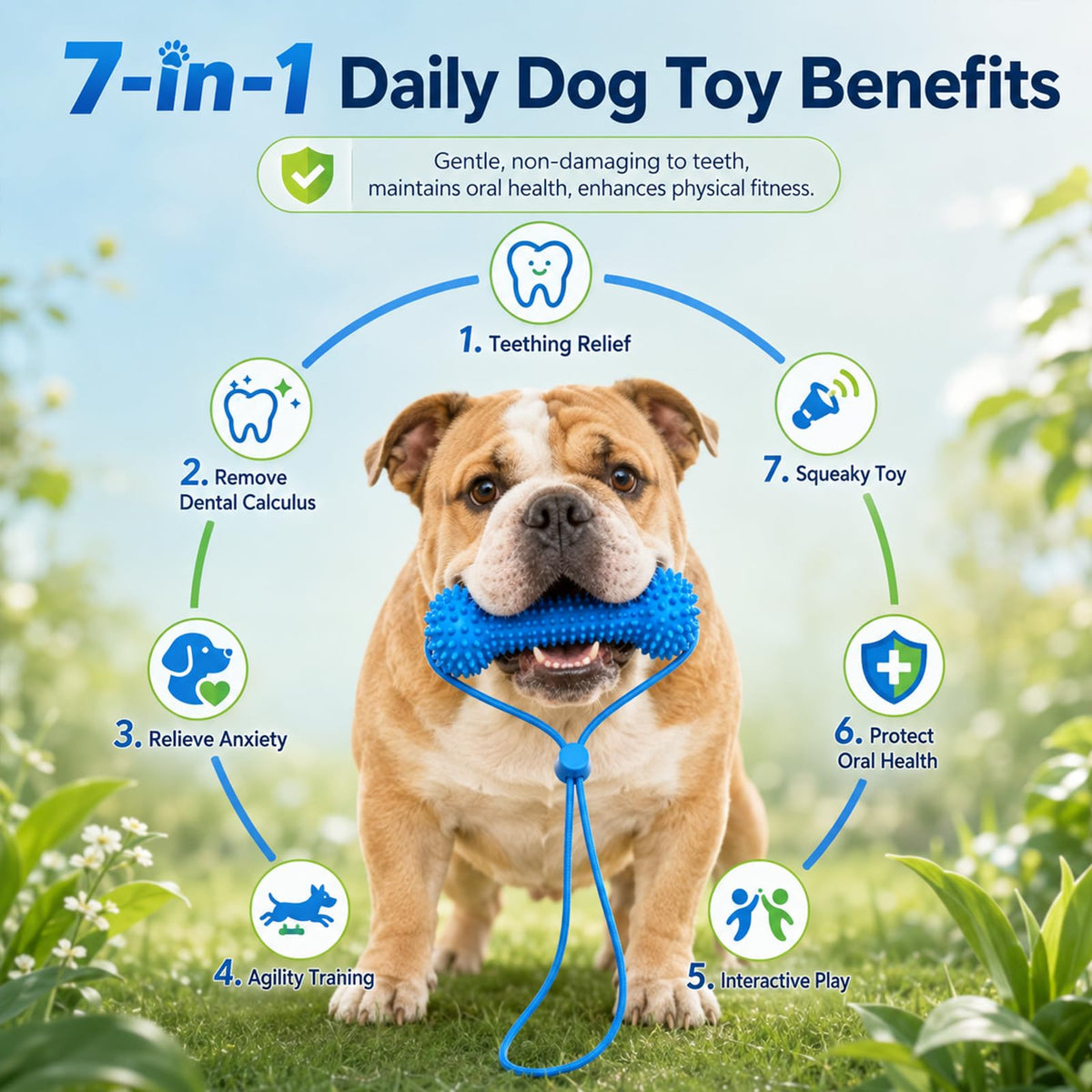 Dual-Action Canine Dental Prop, Dog Dental Chew Toy for Easier Teeth Brushing, Premium Pet Oral Care Accessory Perfect for Small Medium and Large Size Dogs (2PCS)