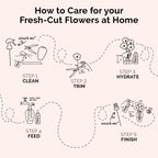 FloraLife Finishing Touch - Hydrating Multi-Nutrient Formula Spray - 8oz