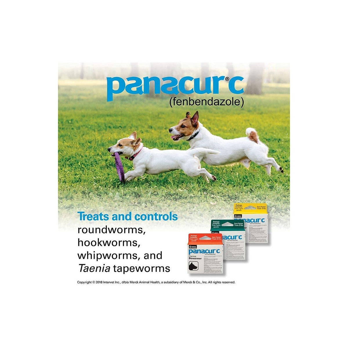 Panacur C Canine Dewormer (Fenbendazole), 1 Gram, Yellow, 3 Count (Pack of 1)