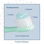 PRO-SYS® Mint Fluoride Toothpaste Gel, ADA Approved, Prevents Cavities, Gingivitis, and Plaque, Pack of 3