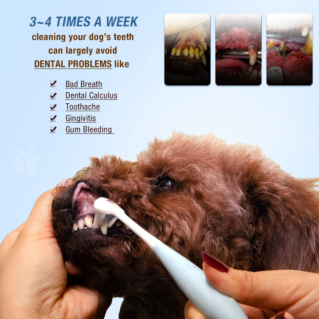 Ultra Soft Nano Dog Toothbrush Kit for Small Breed Pet 3 Styles