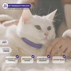 Gentle Paws 60-Day Cat Calming Collar (2-Pack) | for Stress, Fighting, Spraying, Pee Accidents, Anxiety & Aggression | Lavender-Free & Chamomile-Free, Non-Toxic, Breakaway Safety Design