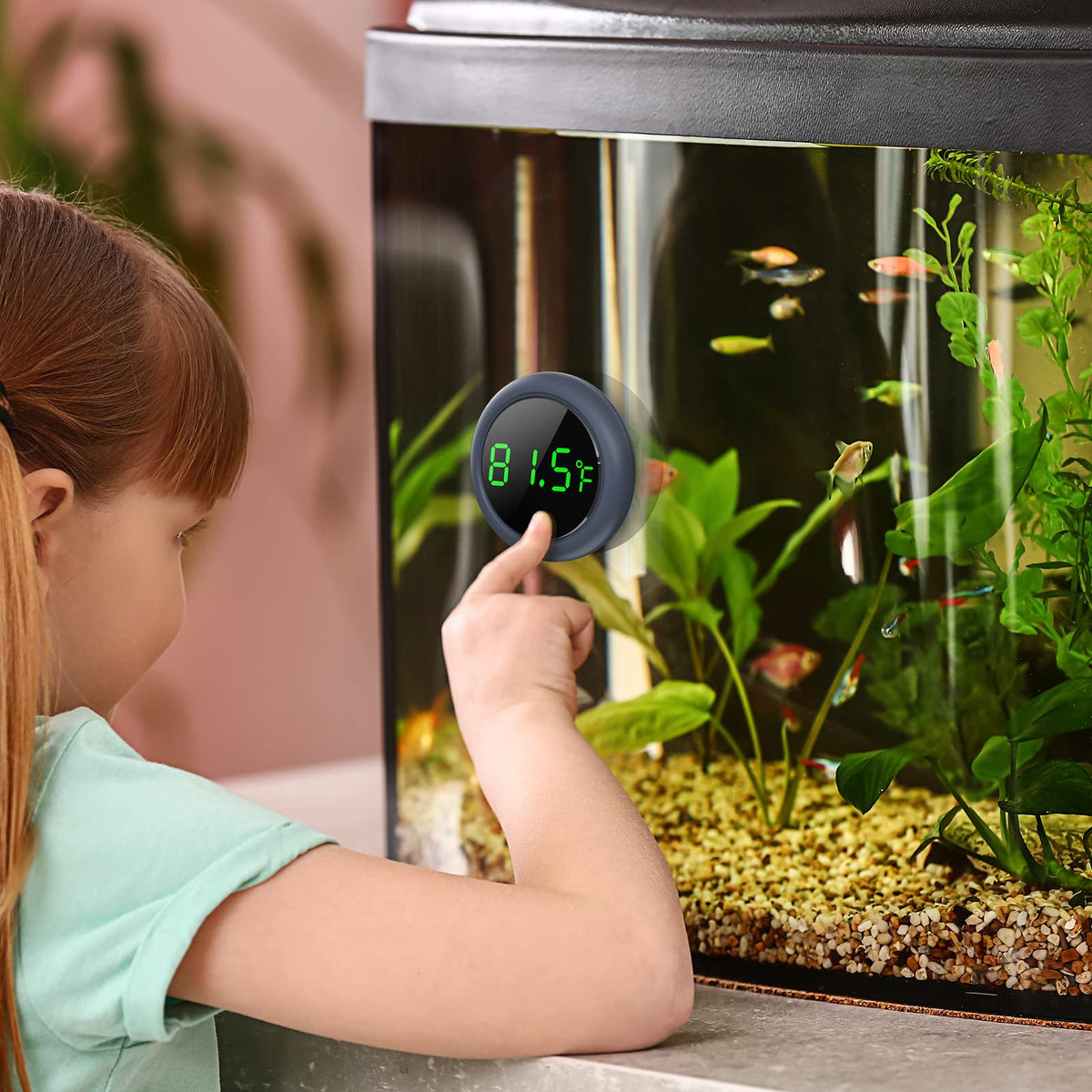 PAIZOO Aquarium Thermometer Digital, Highly Accurate Fish Tank Thermometer