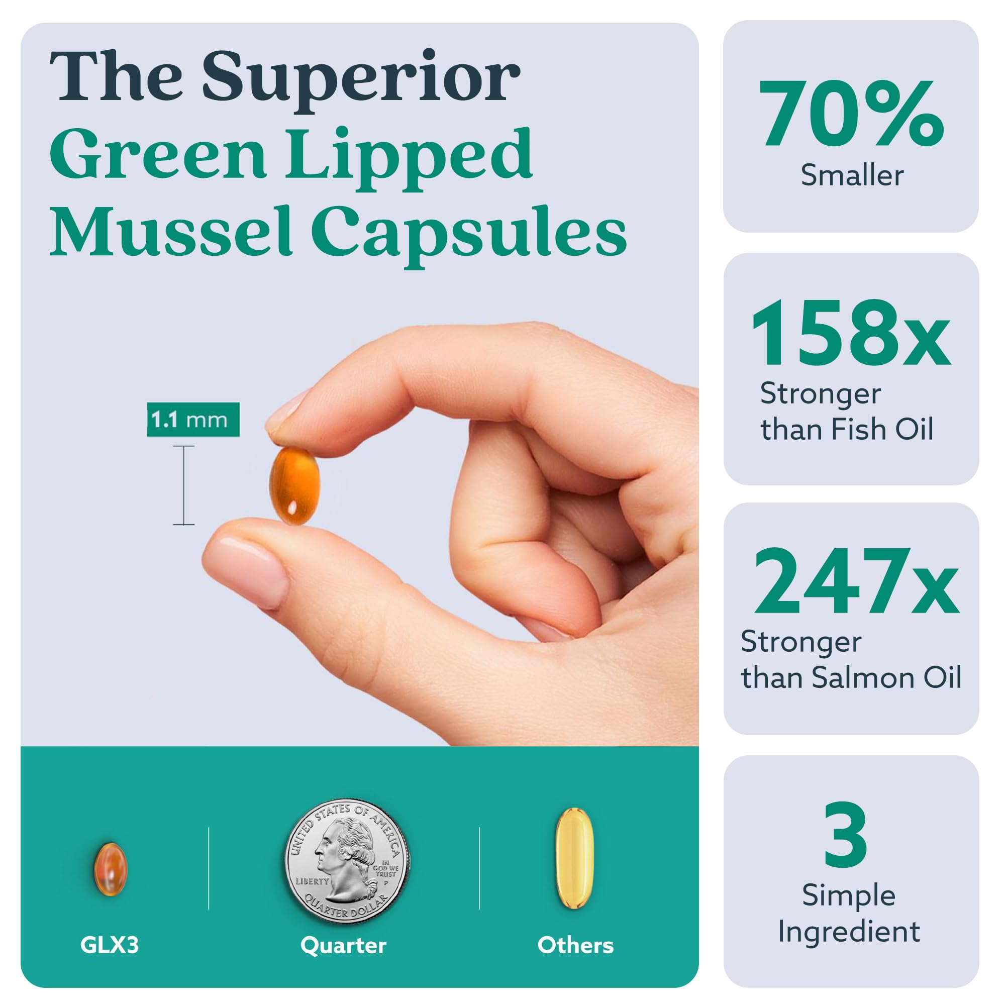Haka Life GLX3 Green Lipped Mussel Oil Capsules for Joint and Muscle Support | Extra-Strength Omega-3 Green Lipped Mussel Supplement for Comfort, Flexibility & Recovery | Contains ETA, EPA, DHA