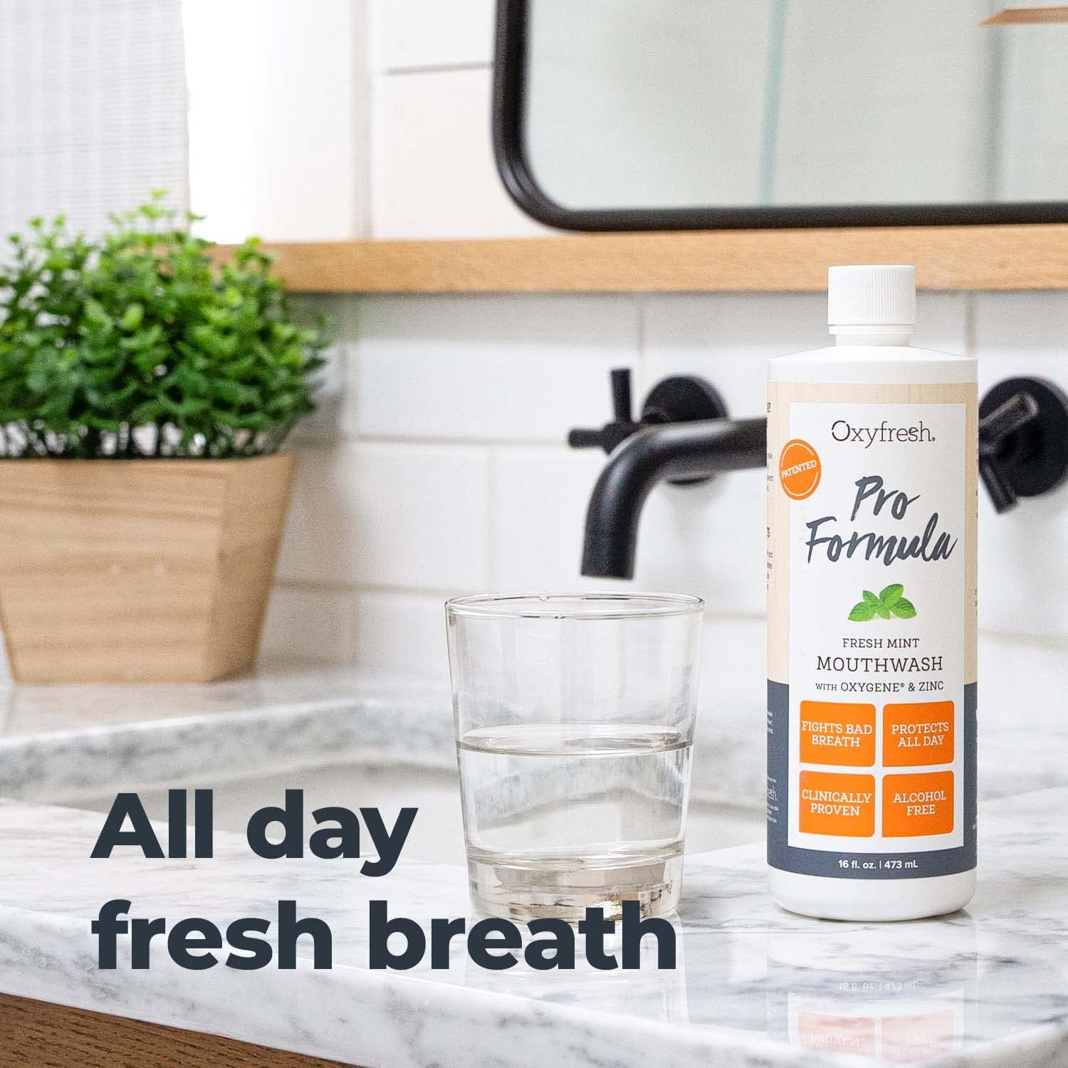 Buy now Oxyfresh Premium Pro Formula Fresh Mint Mouthwash â€“ Patented Zinc Mouthrinse for All Day Fresh Breath & Healthy Gums â€“ Refreshing & Alcohol Free Mouthwash | 16oz at indiglob india