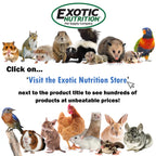 Exotic Nutrition Pasture Plus+ Dandelion Delicacy - Healthy Natural High-Fiber Dried Flower Treat - Guinea Pigs, Rabbits, Chinchillas, Prairie Dogs, Degus, Hamsters, Gerbils & Other Small Pets