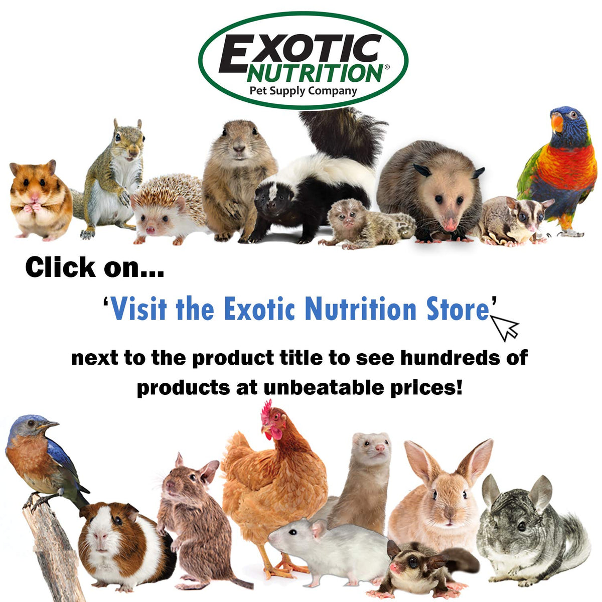 Exotic Nutrition Pasture Plus+ Dandelion Delicacy - Healthy Natural High-Fiber Dried Flower Treat - Guinea Pigs, Rabbits, Chinchillas, Prairie Dogs, Degus, Hamsters, Gerbils & Other Small Pets