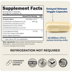 Probiotic 40 Billion CFU with Organic Prebiotics for Gut Health, 60 Count | Probiotics for Men and Women, Immune & Digestive Health Support with Lactobacillus from BioSchwartz, Non-GMO, Shelf Stable