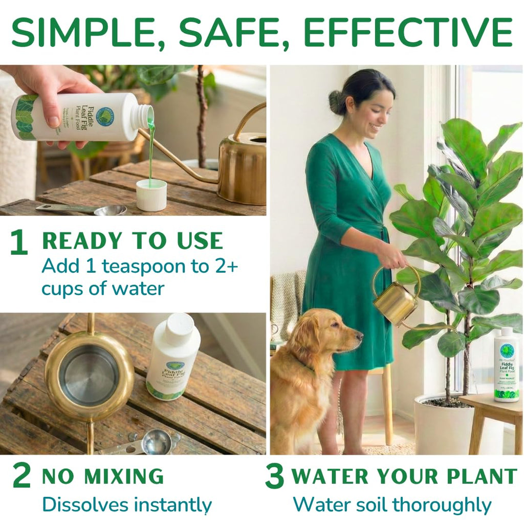 Fiddle Leaf Fig Plant Food, 3-1-2 NPK Liquid Fertilizer for Ficus, 8 oz