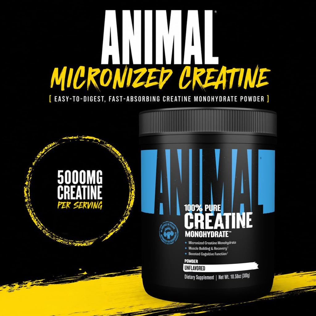 Animal Creatine Monohydrate Powder — Micronized for Muscle Recovery, Cellular Energy, and Daily Wellness — for Men and Women — Unflavored 300g
