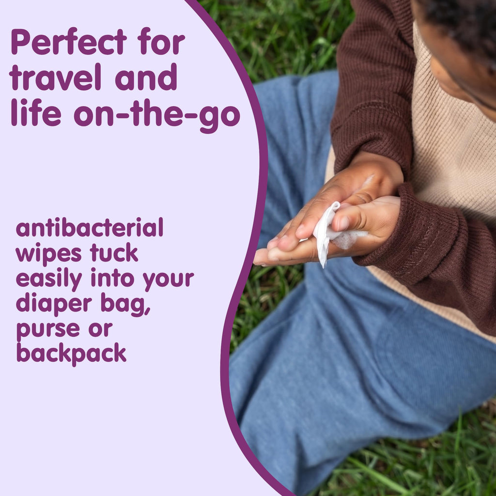 Boogie Antibacterial Hand Wipes - 90 Count