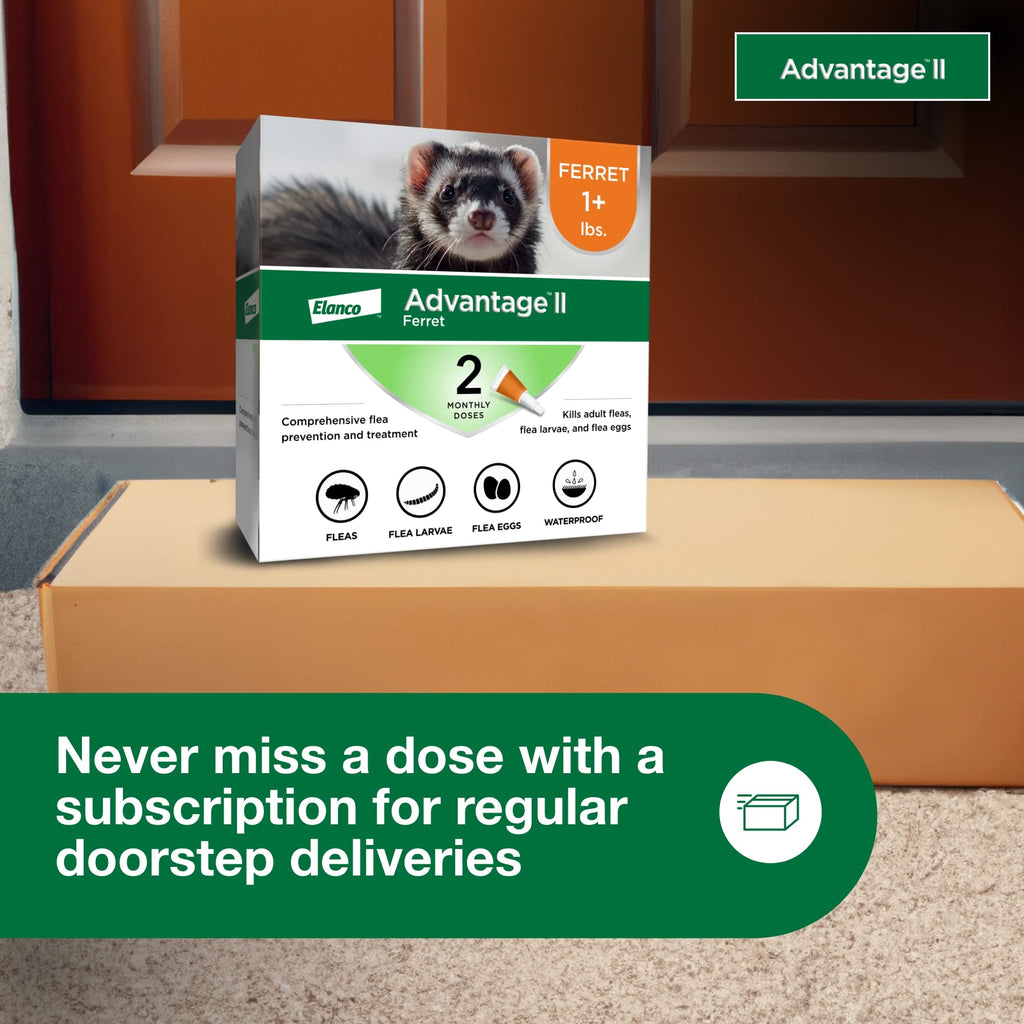 Advantage II Ferret Topical Flea Treatment & Prevention, 2ct