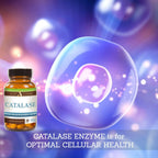 Catalase: Antioxidant Enzyme Delayed-Release For Hair And Skin
