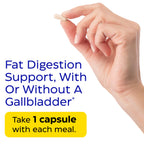 Enzymedica Lypo Gold - Enzyme Supplement for Fat Digestion - 120 Capsules | Protease, Amylase & Lipase Digestive Enzymes for Women & Men, Gut Health & Gallbladder Support