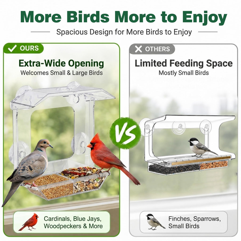 Window Bird Feeder with 4 Extra Strong Suction Cups (2.5 Inch)
