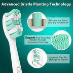 Buy now Replacement Toothbrush Heads for Philips Sonicare: Electric Toothbrush Replacement Heads Compatible with Sonicare Plaque Control ProtectiveClean 4100 5100 6100 C2 G2 W2,10 Pack at indiglob india
