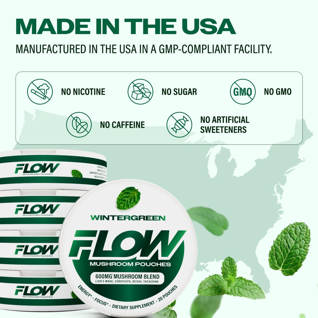Mushroom Nootropic Pouches, 600mg Lion's Mane Reishi Cordyceps Energy Pouches for Focus and Clean Energy, Caffeine Free Sugar Free Nicotine Free, Now Made in USA (5 Cans, Wintergreen)