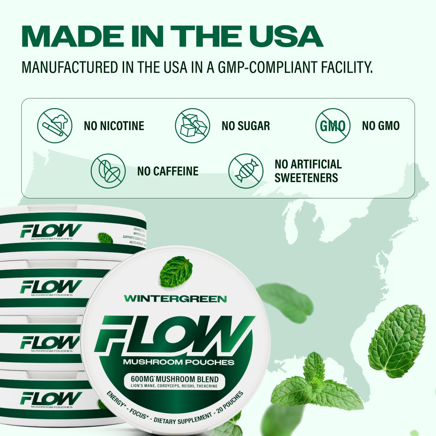 Mushroom Nootropic Pouches, 600mg Lion's Mane Reishi Cordyceps Energy Pouches for Focus and Clean Energy, Caffeine Free Sugar Free Nicotine Free, Now Made in USA (5 Cans, Wintergreen)