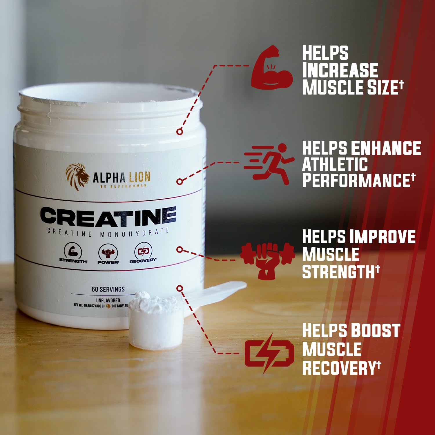 ALPHA LION Creatine Monohydrate Powder, 5000mg Per Serving (5g), Supports Muscle Strength, Power, Athletic Performance, Pure Creatina Monohydrata en Polvo Supplement (60 Servings, Unflavored)