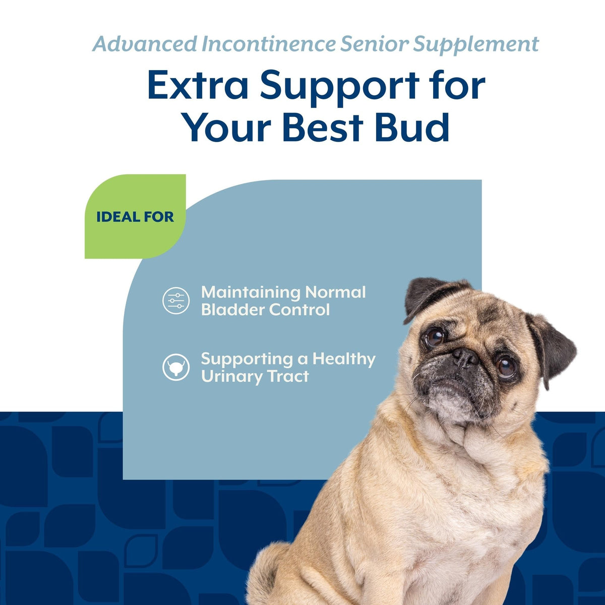 NaturVet Senior Advanced Incontinence Dog Supplement - 60 Ct