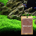 Buy now Aquarium Mini L.e.a.f 2 Bags Default at indiglob india