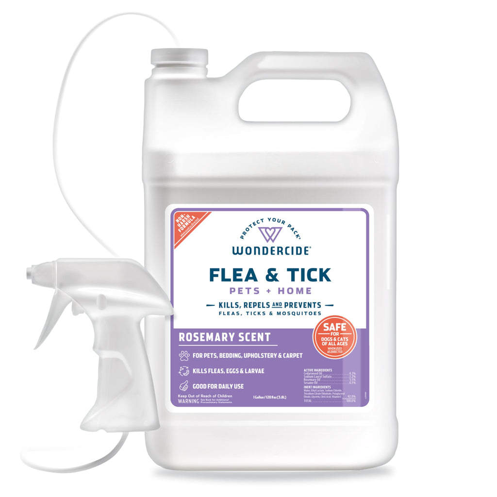 Buy now Wondercide - Flea, Tick & Mosquito Spray for Dogs, Cats, and Home - Control, Prevention, Treatment - with Natural Essential Oils - Pet and Family Safe - Peppermint 16 oz at indiglob india