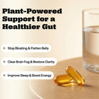 Oil of Oregano with Black Seed Oil – Softgels for Gut Support | Gut, Immune & Antioxidant Support, 6000mg