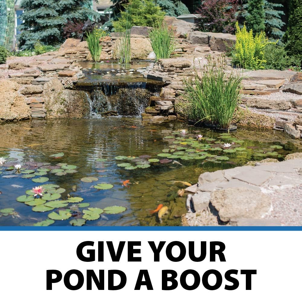 CrystalClear PondShock Ball Freshwater Clarifier, Enzymes Shock Treatment