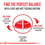 Royal Canin Size Health Nutrition Large Aging 8+ Senior Dry Dog Food, 30 lb Bag