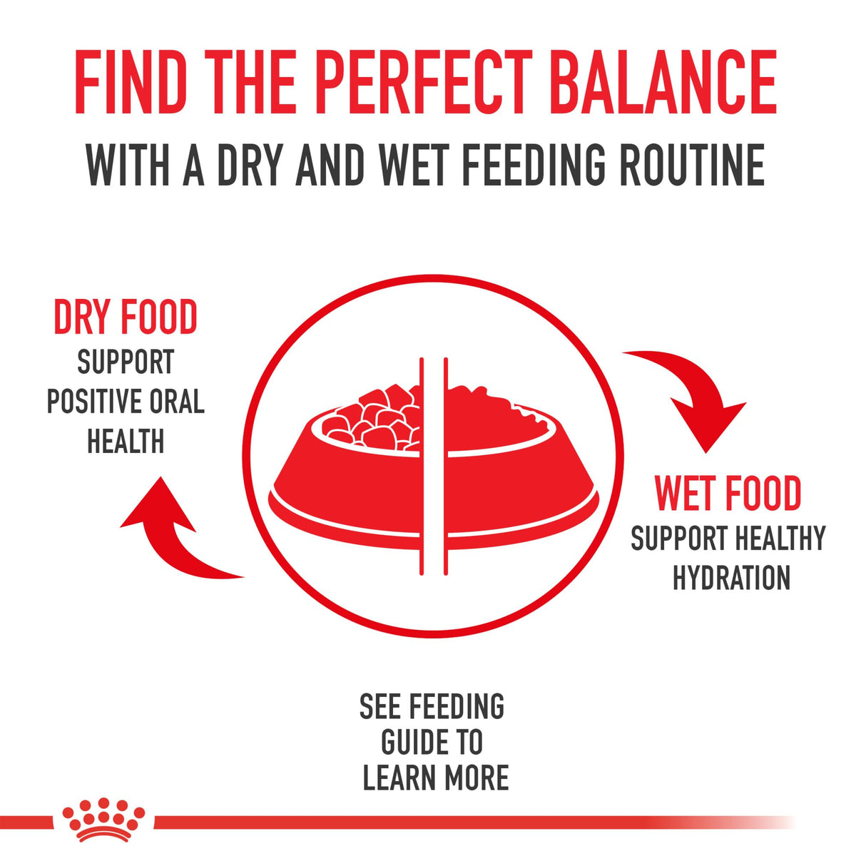 Royal Canin Size Health Nutrition Small Adult Dry Dog Food, 30 lb Bag