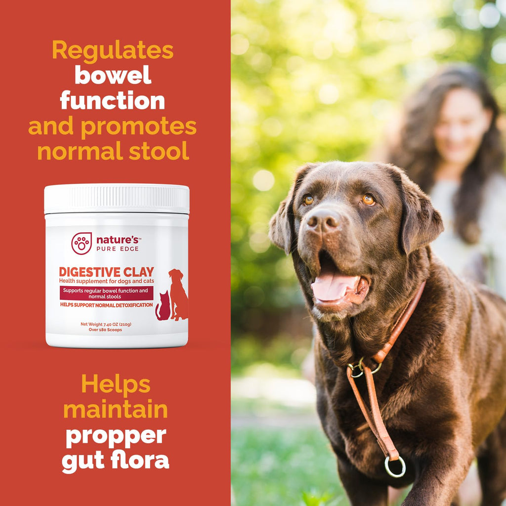 Clay Powder Anti Diarrhea for Dogs & Cats. Supports Gas Relief. Normalizes Gut PH in Dogs and Cats. Constipation Relief. Extra Large 7.40 oz.