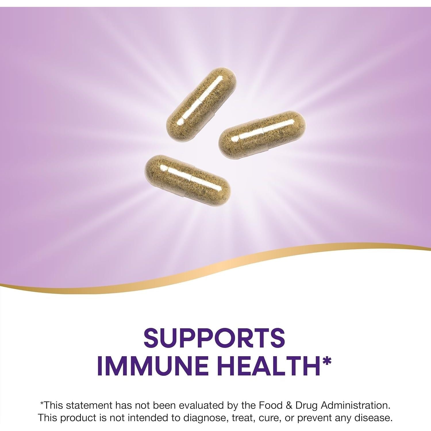 Buy now Nature's Way Echinacea Astragalus & Reishi, Immune Support*, 100 Capsules at indiglob india