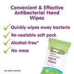 Boogie Antibacterial Hand Wipes - 20 Count