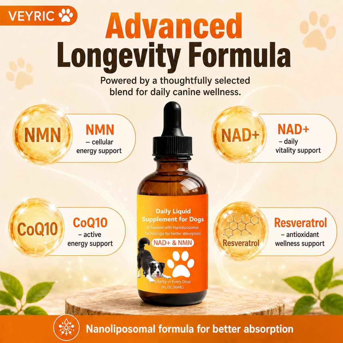 Dog Longevity Supplement with NMN, NAD+, CoQ10 & Resveratrol