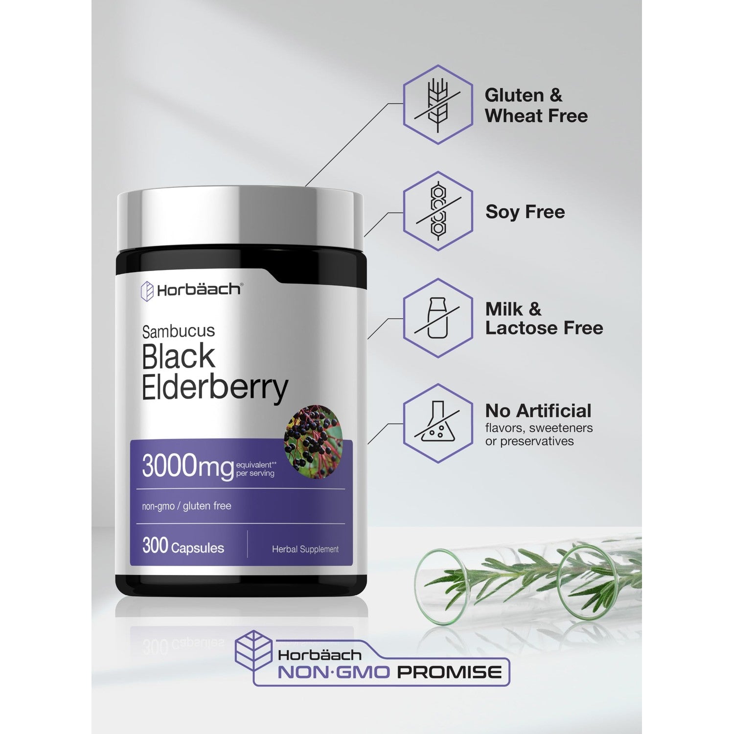 Horbäach Black Elderberry | 300 Capsules | Sambucus Supplement | Non-GMO & Gluten Free