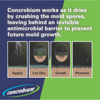 Concrobium Mold Control, 1 Gallon, Mold and Mildew Cleaner for Hard Surfaces, Helps Eliminate and Prevent Mold and Musty Odors, No Bleach Formula for Indoor and Outdoor Use