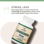 Ashwagandha 500mg 20:1 Extract, Stress, Calm + Sleep Support, 120 Capsules | Stress, Calm + Sleep Supplement, Concentrated 20:1 Root (~10g Equivalent), AM or PM Use, Vegetarian, 60-Day Supply