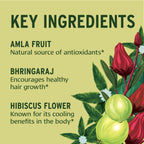 Banyan Botanicals Organic Healthy Hair Supplement – For Thickness, Shine & Scalp Health – with Bhringaraj, Amla & Brahmi – Natural Internal Hair Care & Follicle Support-90 Tablets-USDA Organic
