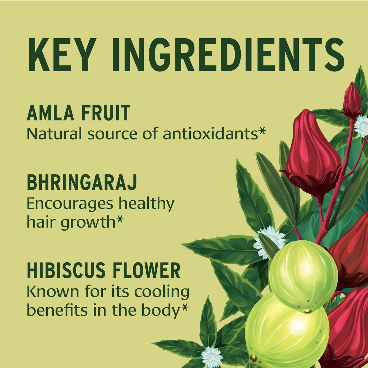 Banyan Botanicals Organic Healthy Hair Supplement – For Thickness, Shine & Scalp Health – with Bhringaraj, Amla & Brahmi – Natural Internal Hair Care & Follicle Support-90 Tablets-USDA Organic