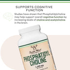 Phosphatidylcholine 1,200mg (420mg PC), Memory & Liver, 210 Softgels | Supports Memory & Cognition, Healthy Liver Support, Focus & Clarity, ~420mg per Softgel, Third-Party Tested
