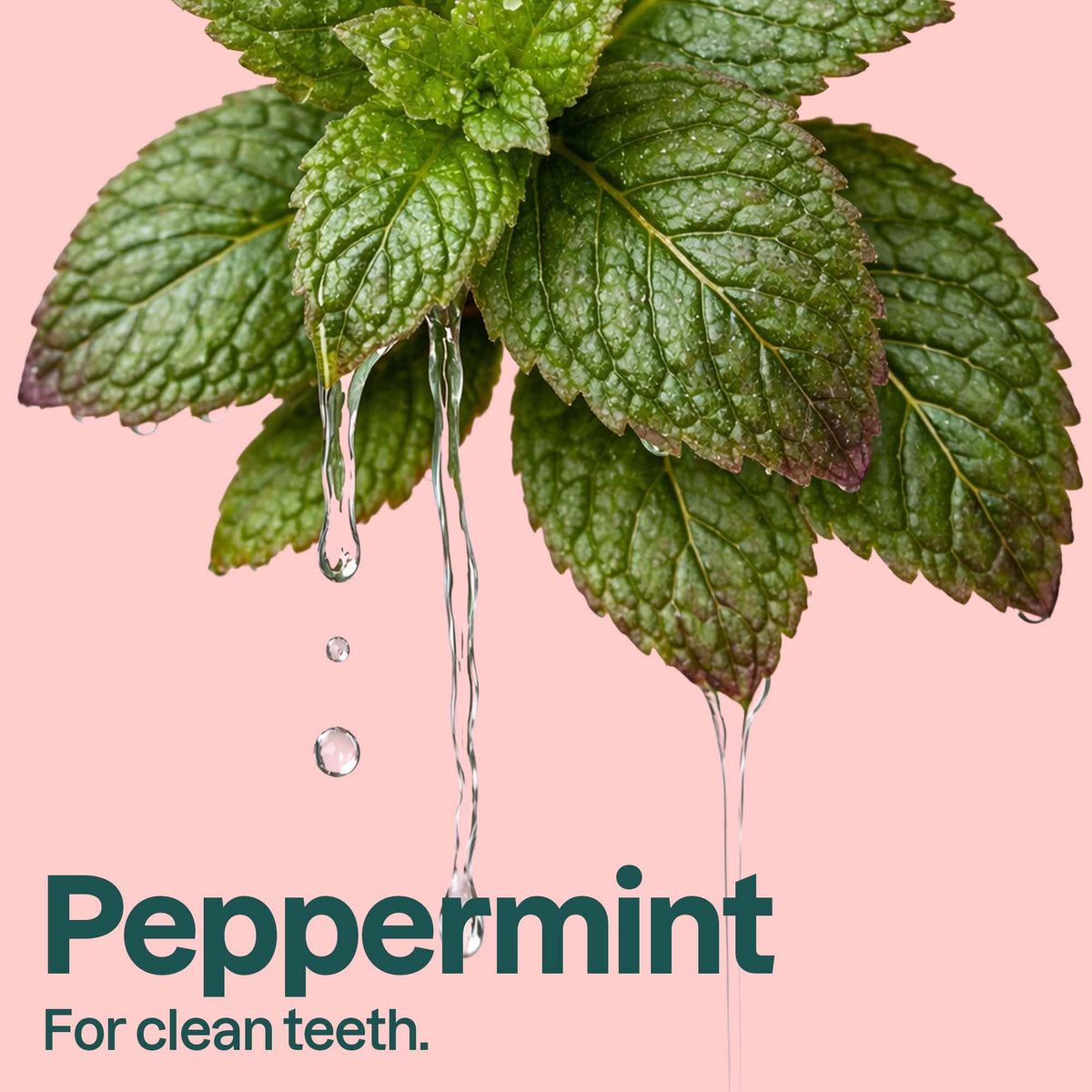 Attitude Fresh Breath Toothpaste with Fluoride, Peppermint Flavor, EWG Verified, Vegan & Cruelty-Free, Sugar-Free, Plant & Mineral-Based Ingredients, Clean Oral Care, 4.2 Oz