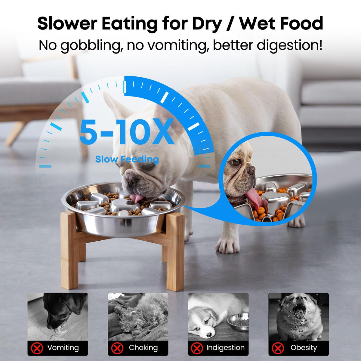 Elevated Slow Feeder Dog Bowls 2 Cups for 15-60 LBS Breed Puppy
