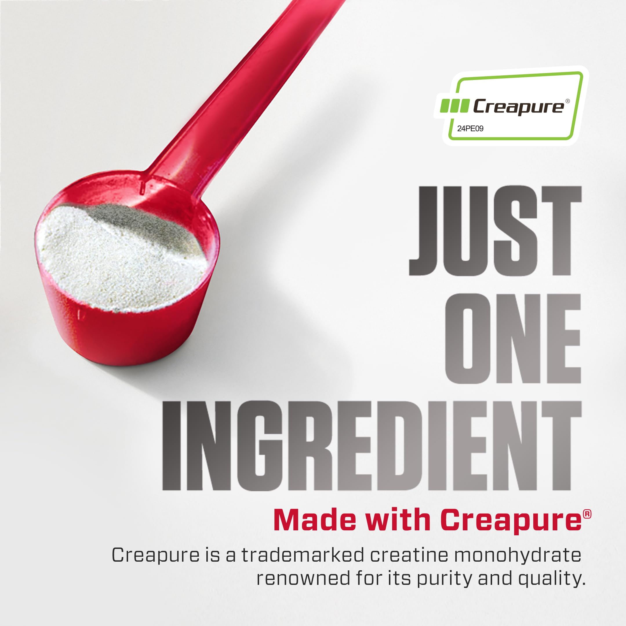 Dymatize Creatine Monohydrate Powder with CREAPURE (Product of Germany), 5g Per Serving, 60 Servings (300g), Creatine for Women and Men, Gluten Free