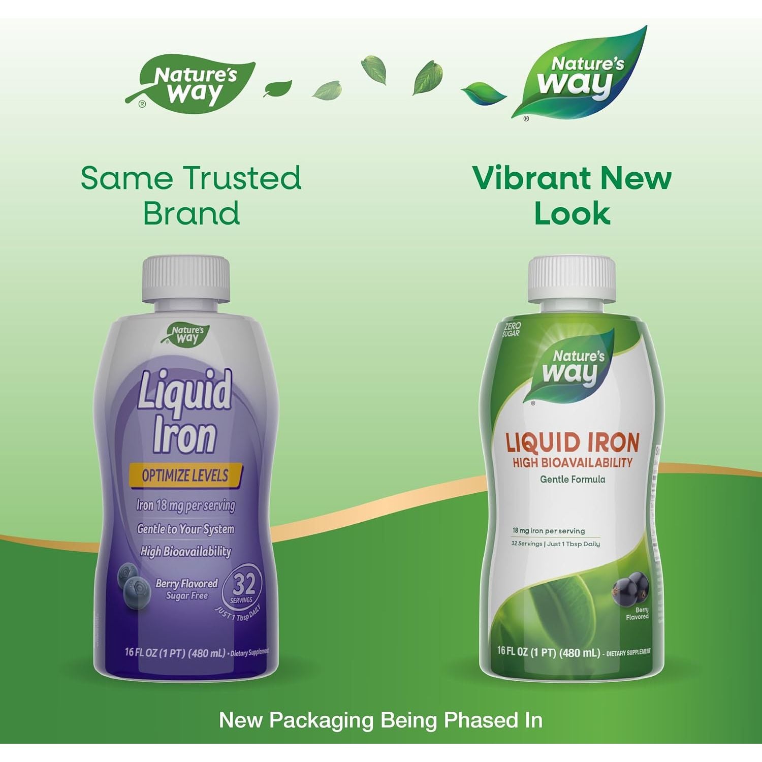 Buy now Nature's Way Liquid Iron, 100% Daily Value, 18 mg Iron as Ferric Glycinate per Serving, No Sugar Added, Berry Flavored, 16 Fl Oz (Packaging May Vary) at indiglob india
